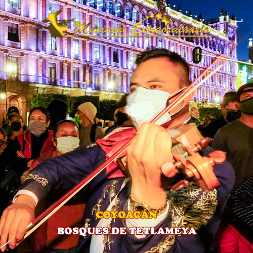 mariachis en Colonia Bosques de Tetlameya 