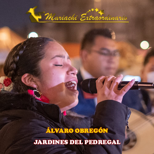 mariachis en Jardínes del Pedregal